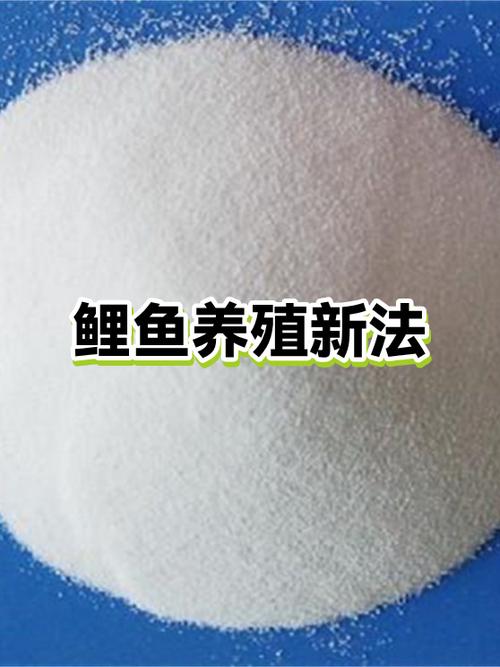 鲤鱼高密度养殖如何实现高效管理？-第2张图片-宁夏农业信息网