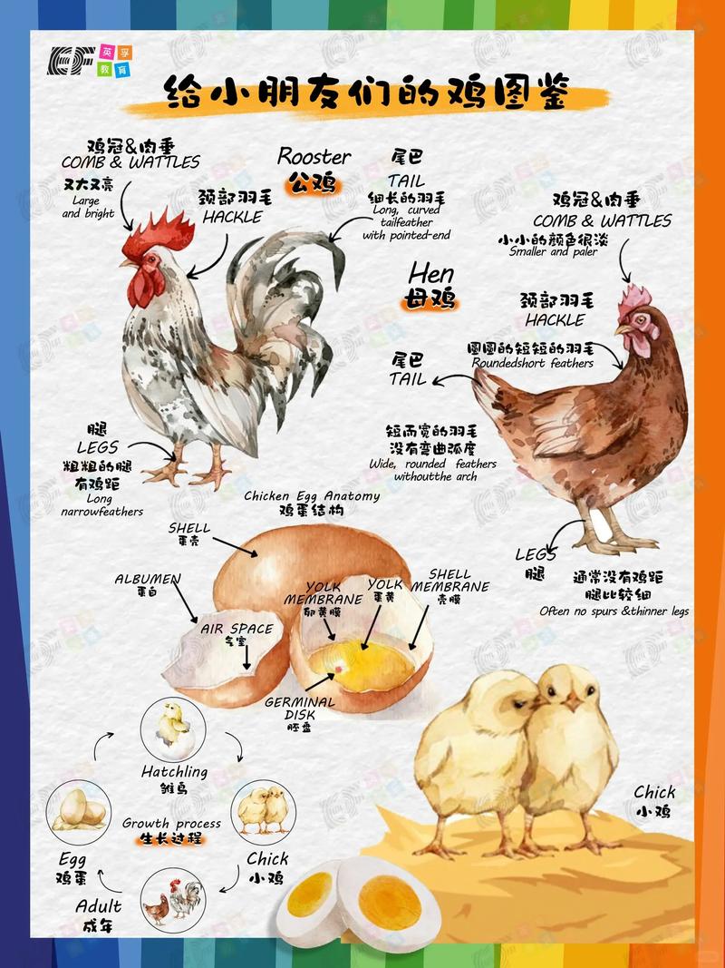 家畜品种如何形成与演变？-第2张图片-宁夏农业信息网