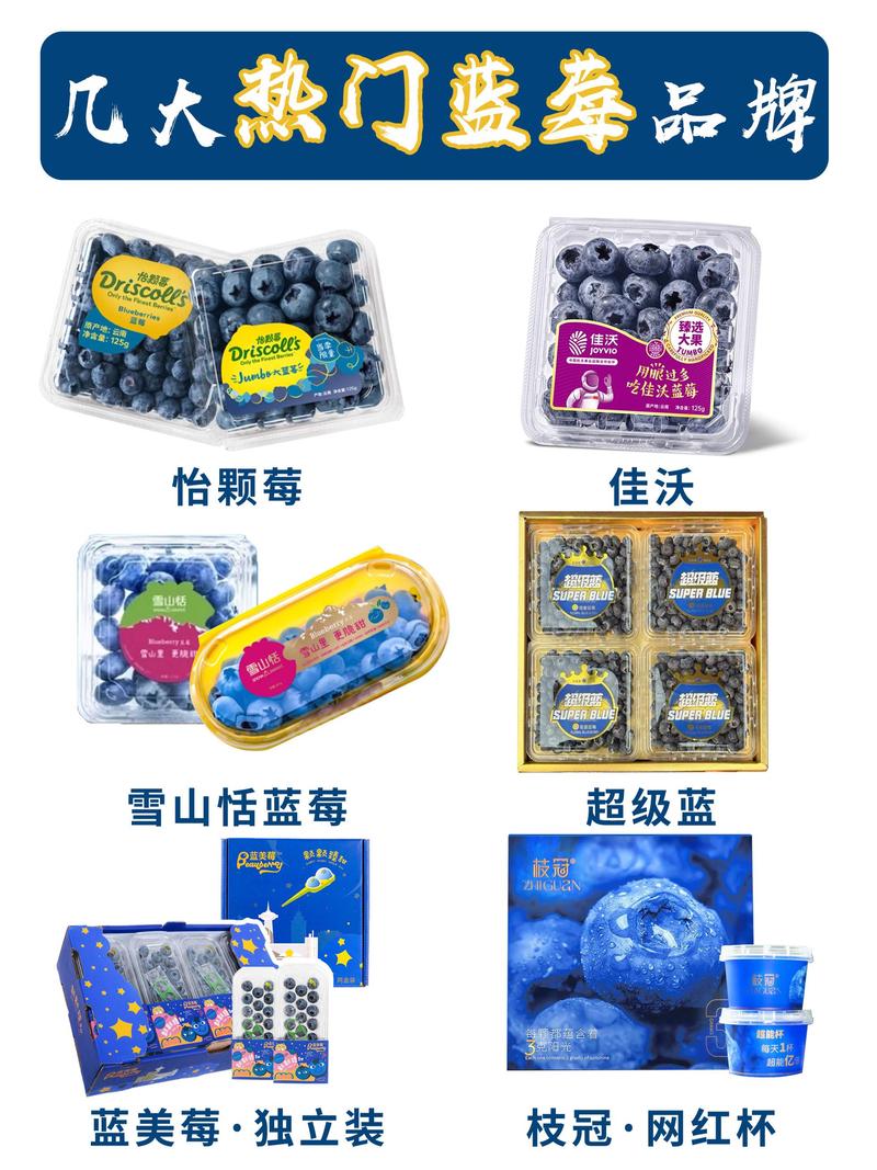 哪种蓝莓品种最好吃？-第1张图片-宁夏农业信息网