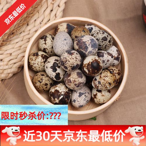 鹌鹑蛋养殖条件方法有哪些？-第3张图片-宁夏农业信息网