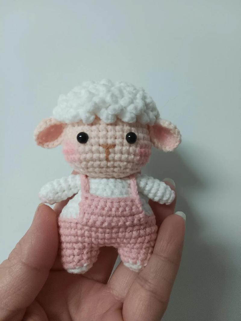 什么羊的毛最好？-第3张图片-宁夏农业信息网