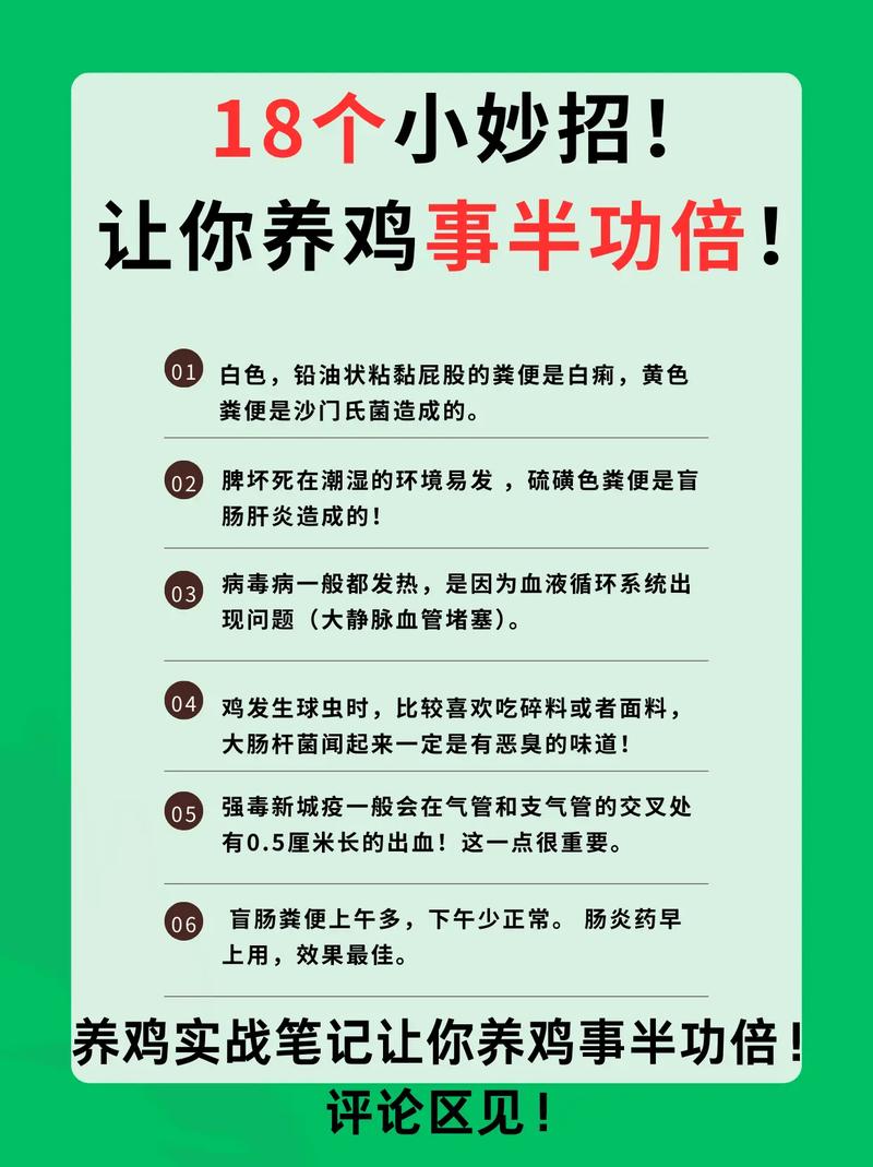 散养鸡饲料如何最节约喂养？-第1张图片-宁夏农业信息网