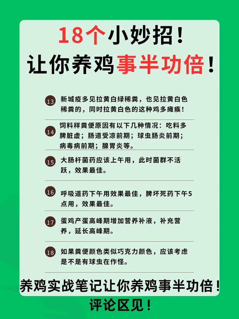 散养鸡饲料如何最节约喂养？-第2张图片-宁夏农业信息网
