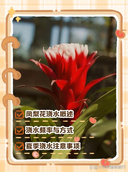 菠萝怎么种？这些注意事项要记牢！-第3张图片-宁夏农业信息网