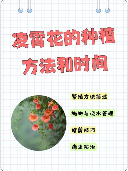 凌霄花怎么养才爆花?-第1张图片-宁夏农业信息网 凌霄花怎么养才爆花?-第1张图片-宁夏农业信息网