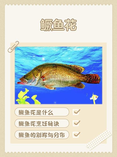 水花鱼怎么用才正确？-第3张图片-宁夏农业信息网