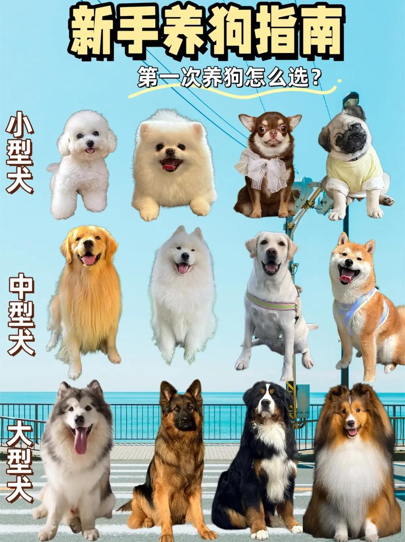 肉狗品种哪个更美味？-第2张图片-宁夏农业信息网