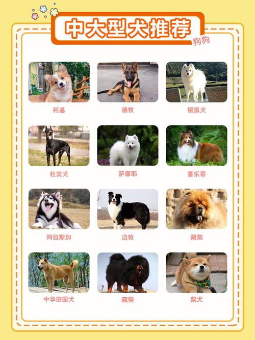 肉狗品种哪个更美味？-第1张图片-宁夏农业信息网