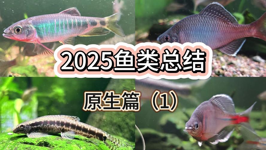 2025年水产新品种有哪些？-第1张图片-宁夏农业信息网