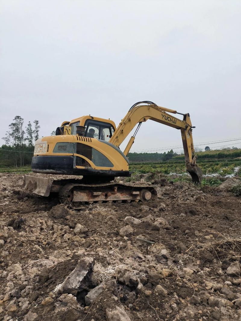 成都农用汽车挖机市场现状如何？-第3张图片-宁夏农业信息网