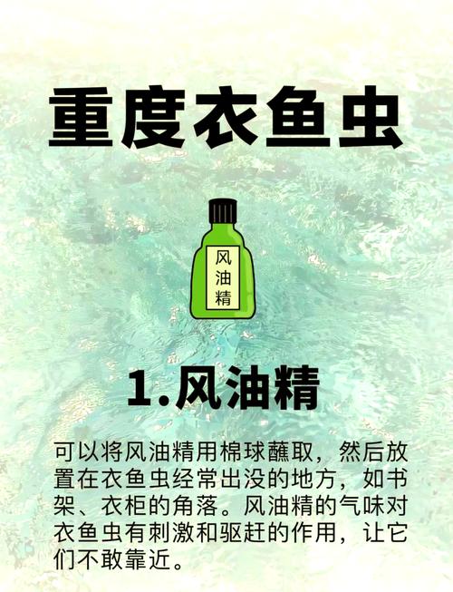 如何高效培育鱼虫喂鱼？-第1张图片-宁夏农业信息网