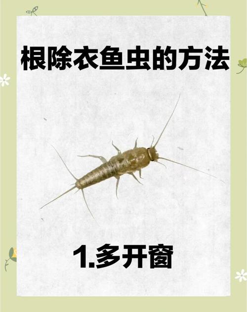 如何高效培育鱼虫喂鱼？-第2张图片-宁夏农业信息网