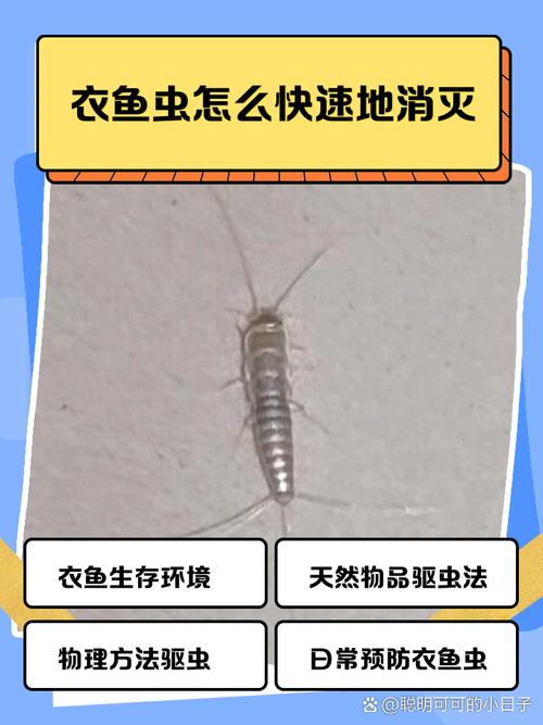 如何高效培育鱼虫喂鱼？-第3张图片-宁夏农业信息网