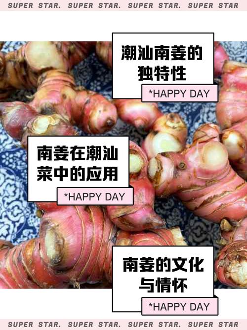 南姜何时种？方法有哪些关键点？-第3张图片-宁夏农业信息网