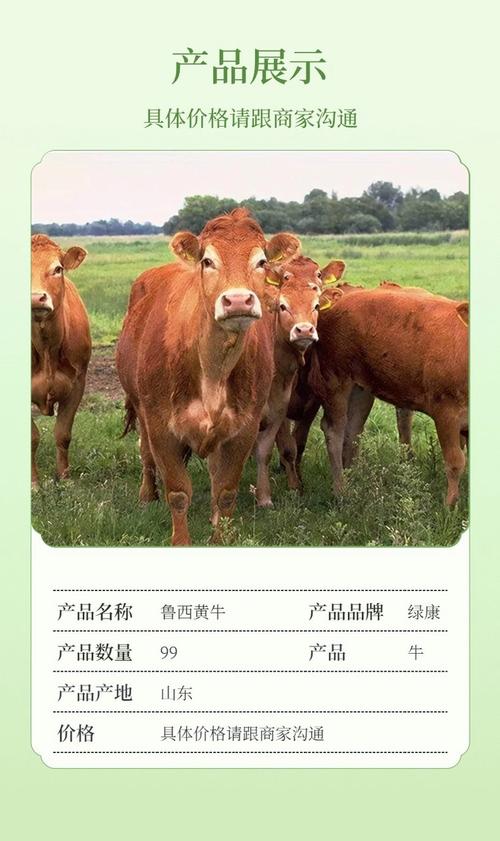 哪种黄牛品种最好？-第2张图片-宁夏农业信息网