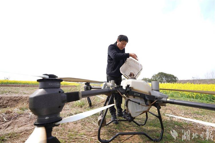 农用无人机作业有哪些实际应用？-第2张图片-宁夏农业信息网