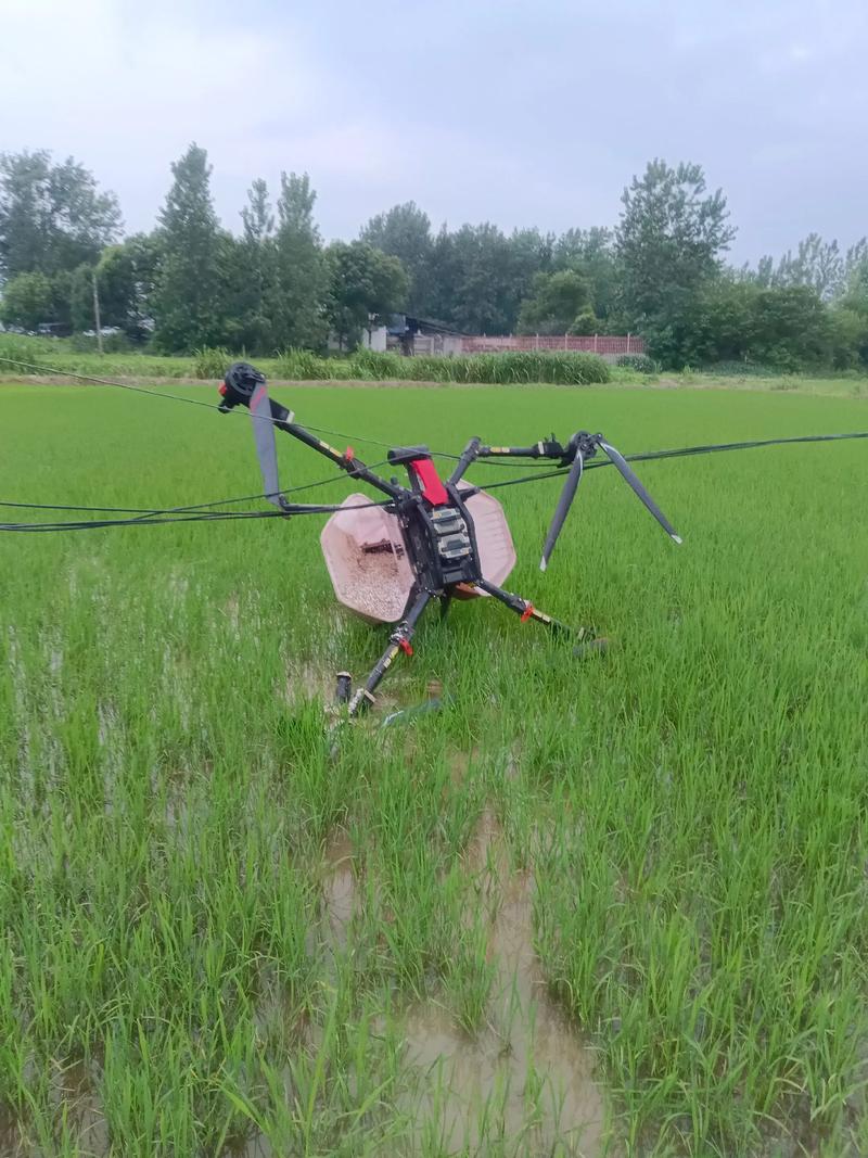 农用无人机作业有哪些实际应用？-第3张图片-宁夏农业信息网