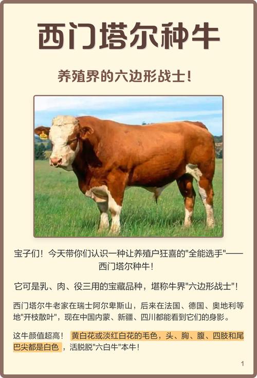 哪种牛最好养又省心？-第1张图片-宁夏农业信息网