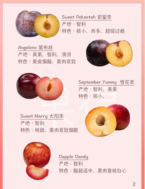 常见李子品种有哪些？-第1张图片-宁夏农业信息网