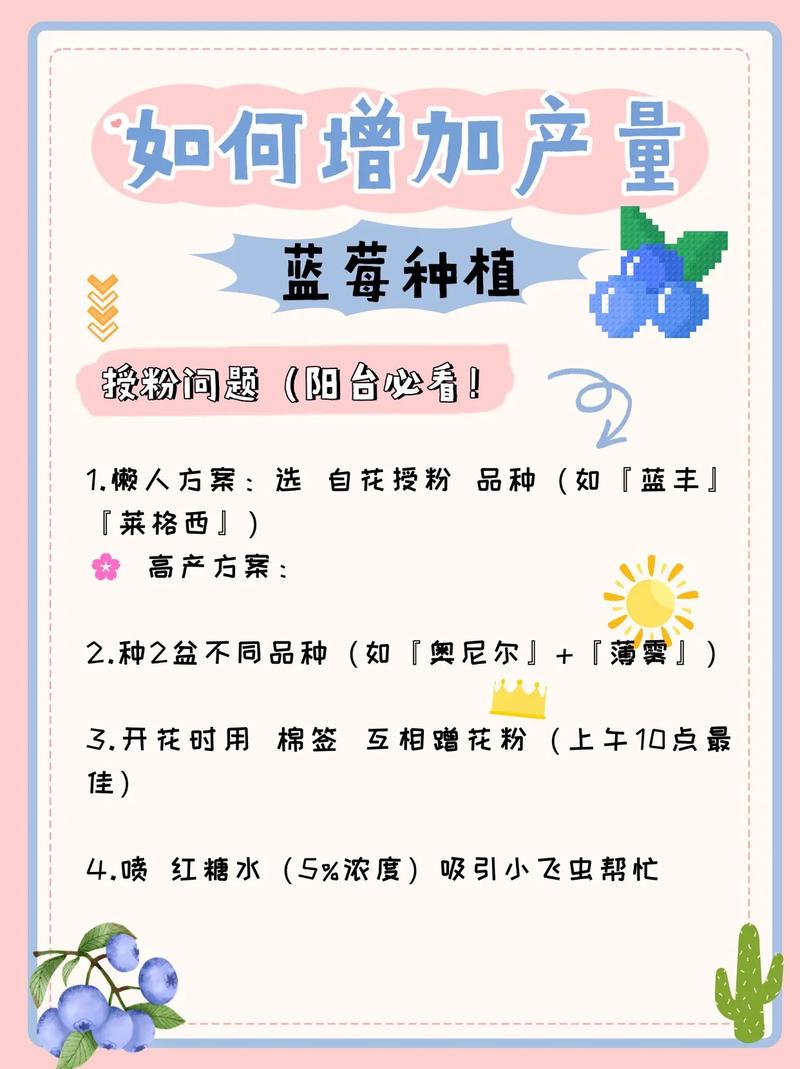 自己种蓝莓选什么品种好？-第1张图片-宁夏农业信息网