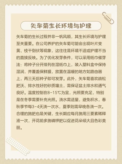 失车菊种子怎么种？种植方法有哪些？-第1张图片-宁夏农业信息网