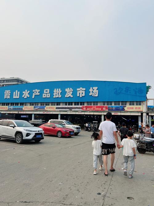 重庆市水产品批发市场在哪?-第1张图片-宁夏农业信息网 重庆市水产品批发市场在哪?-第1张图片-宁夏农业信息网