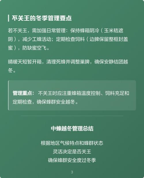 中蜂冬季管理有何关键要点？-第3张图片-宁夏农业信息网
