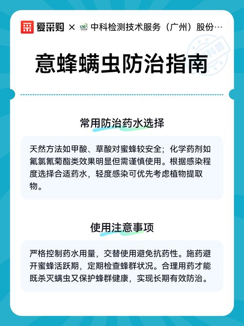 防治蜂螨最有效方法是什么？-第1张图片-宁夏农业信息网