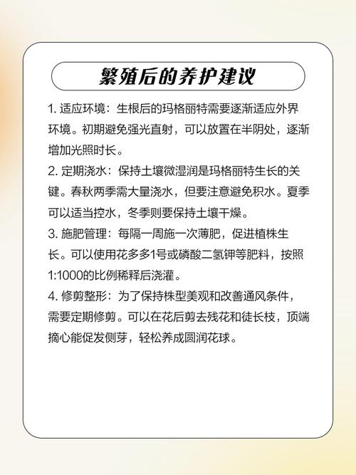 玛格丽特扦插最佳方法是什么？-第3张图片-宁夏农业信息网