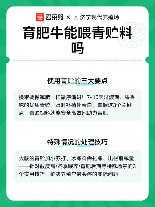 青储饲料喂牛的正确方法是什么?-第2张图片-宁夏农业信息网 青储饲料喂牛的正确方法是什么?-第2张图片-宁夏农业信息网