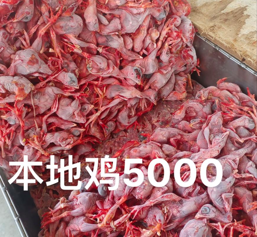 人工蛇饲料怎么配比才科学？-第2张图片-宁夏农业信息网