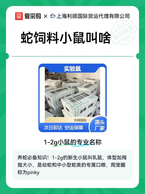 人工蛇饲料怎么配比才科学？-第1张图片-宁夏农业信息网