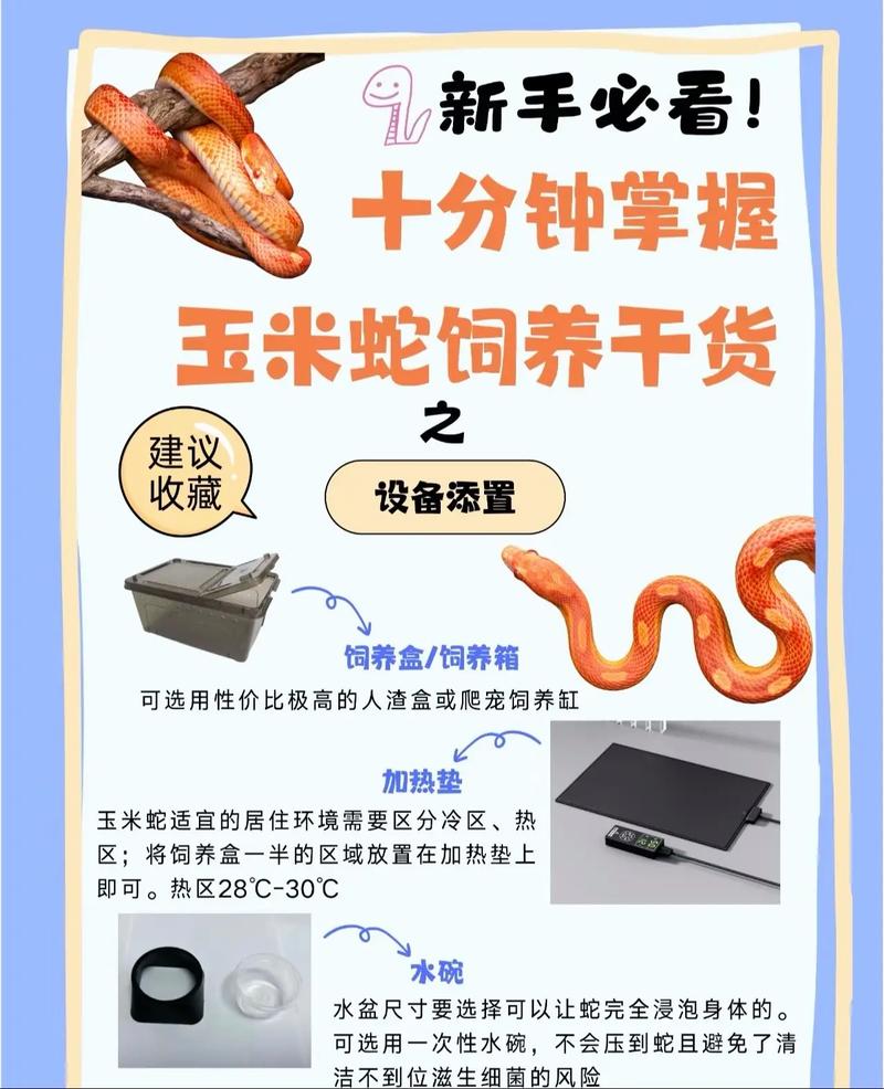 人工蛇饲料怎么配比才科学？-第3张图片-宁夏农业信息网