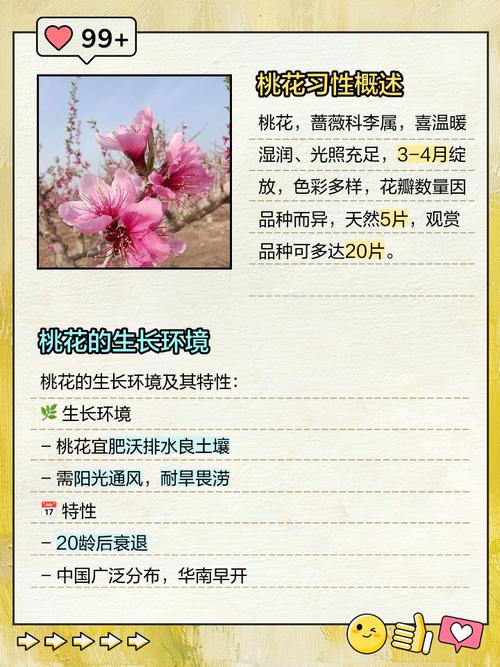 桃花树怎么种才活？-第2张图片-宁夏农业信息网