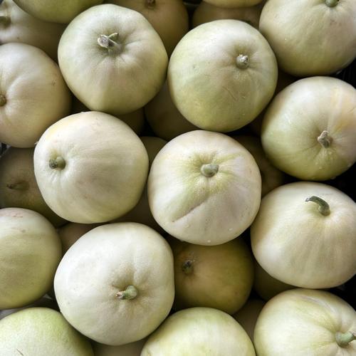 广西种什么香瓜品种好?-第1张图片-宁夏农业信息网 广西种什么香瓜品种好?-第1张图片-宁夏农业信息网