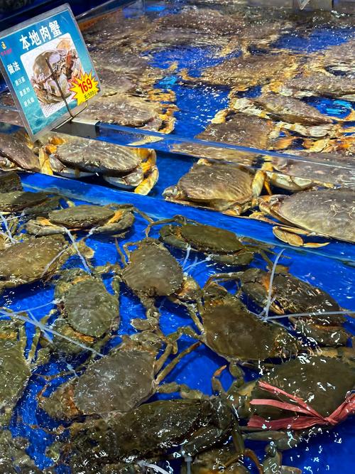 长期养殖活海鲜有哪些常见品种？-第2张图片-宁夏农业信息网