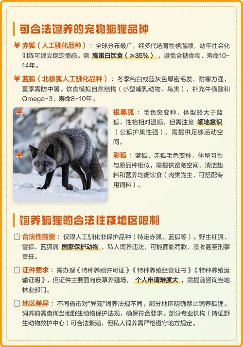 哪些狐狸品种能当宠物养？-第2张图片-宁夏农业信息网