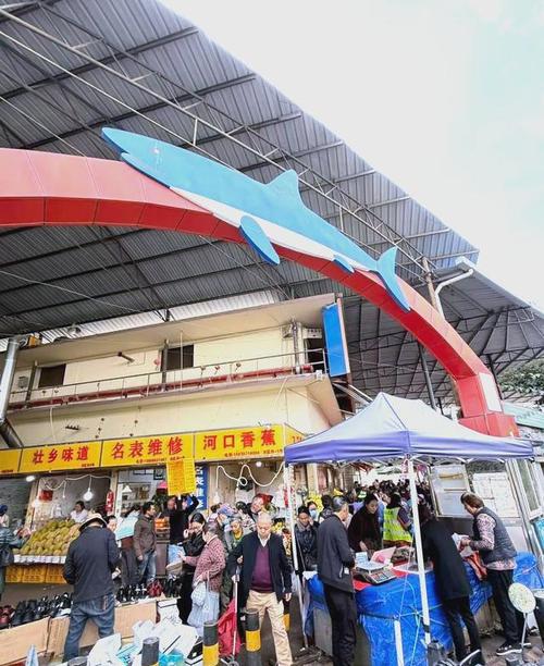 昆明最大水产批发市场在哪？-第3张图片-宁夏农业信息网