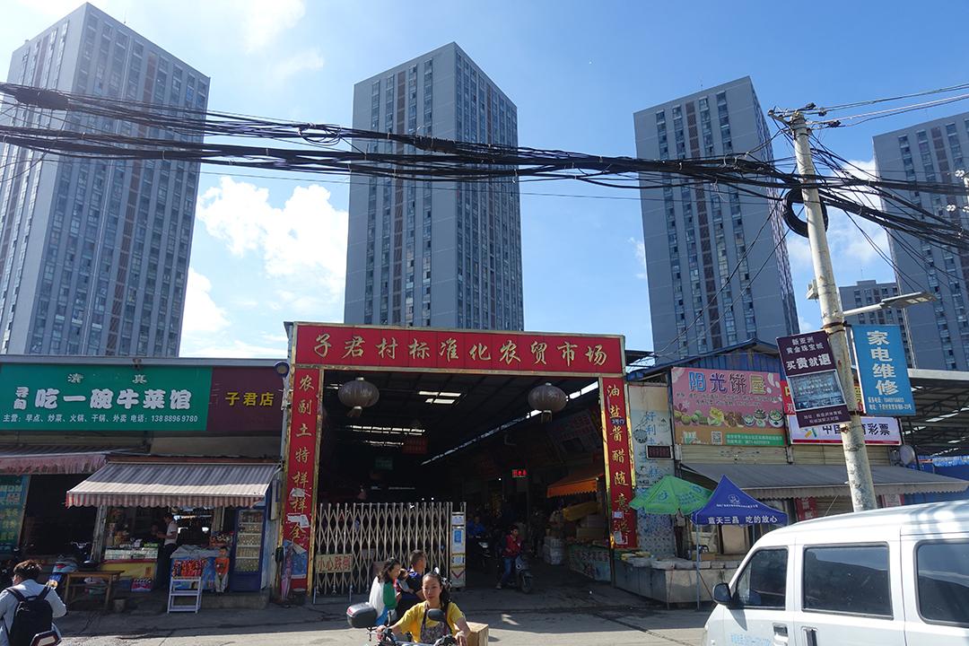 昆明最大水产批发市场在哪？-第2张图片-宁夏农业信息网