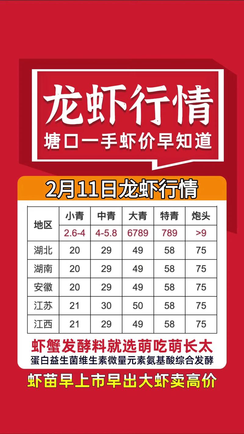 小龙虾价格今日行情如何？-第2张图片-宁夏农业信息网