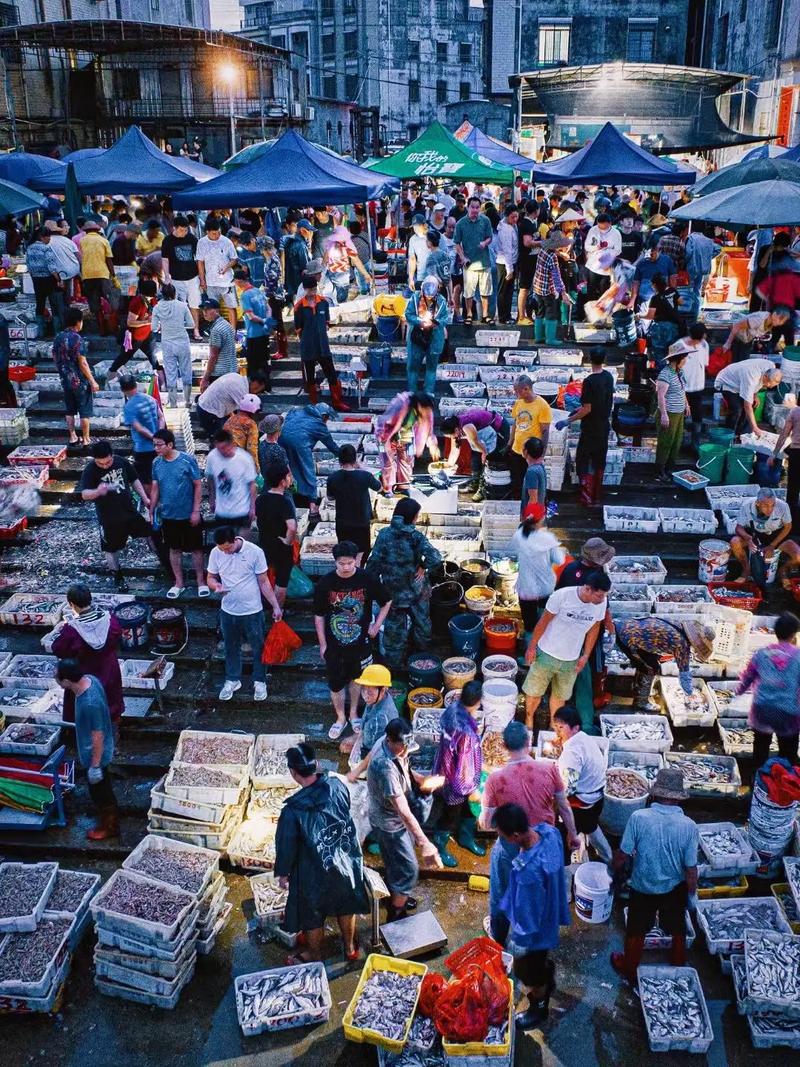 湛江水产海鲜批发市场，价格行情如何？-第2张图片-宁夏农业信息网