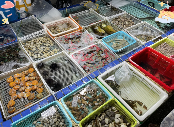 湛江水产海鲜批发市场，价格行情如何？-第1张图片-宁夏农业信息网
