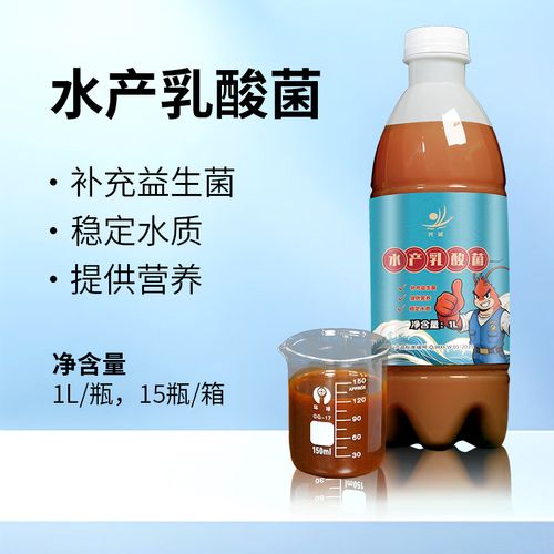 水产养殖乳酸菌扩培如何高效操作？-第1张图片-宁夏农业信息网
