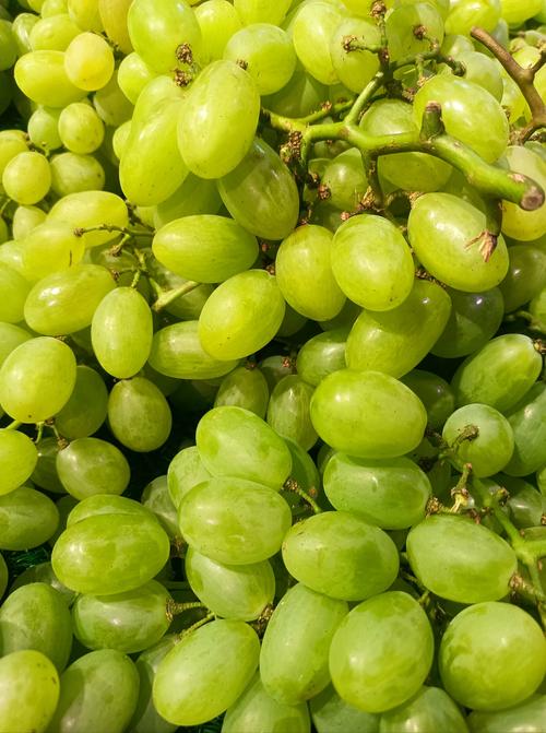 无核白葡萄品种有哪些?-第1张图片-宁夏农业信息网 无核白葡萄品种有哪些?-第1张图片-宁夏农业信息网