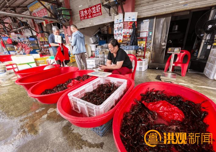 南昌水产龙虾批发市场在哪？价格多少？-第2张图片-宁夏农业信息网