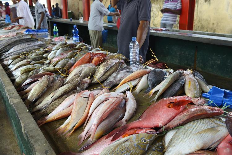 做水产生意需要多少启动资金？-第3张图片-宁夏农业信息网