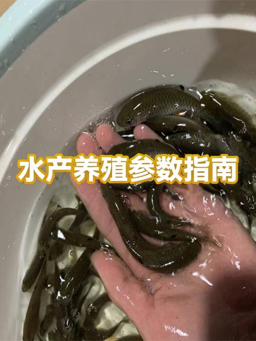 水产pH值过高怎么调节？-第3张图片-宁夏农业信息网