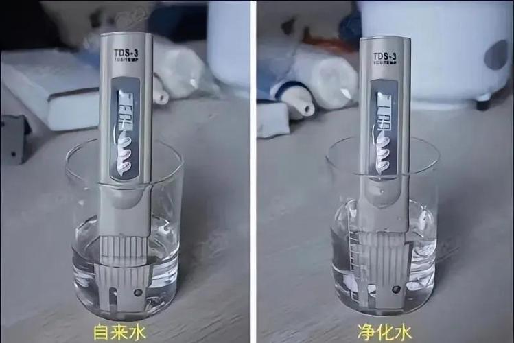 水产pH值过高怎么调节？-第2张图片-宁夏农业信息网