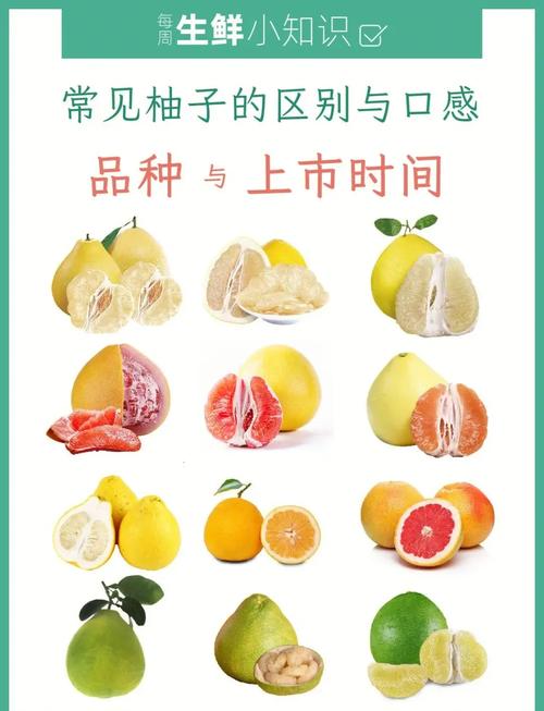 特早熟柚子品种有哪些?-第1张图片-宁夏农业信息网 特早熟柚子品种有哪些?-第1张图片-宁夏农业信息网