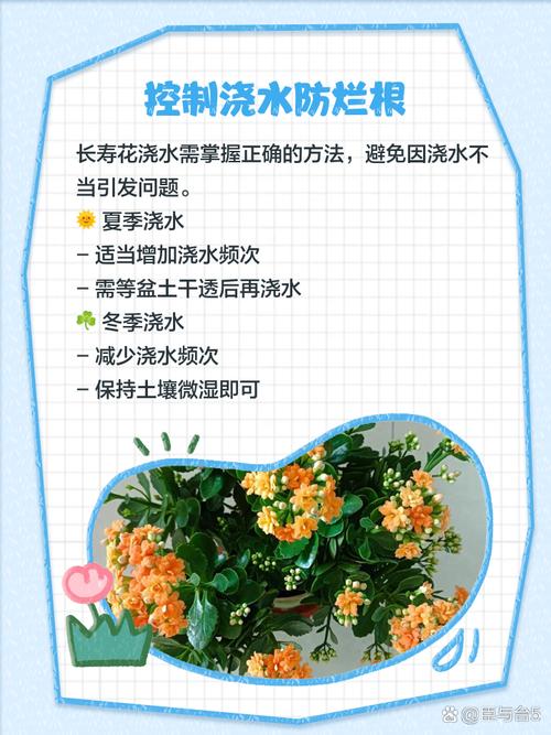 长寿花黄叶怎么办？解决方法有哪些？-第2张图片-宁夏农业信息网